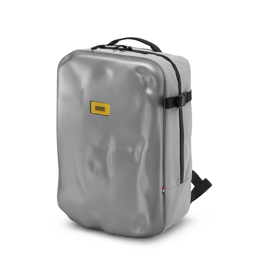 Iconic Backpack 29L - Silver