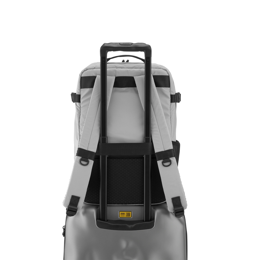 Iconic Backpack 29L - Silver
