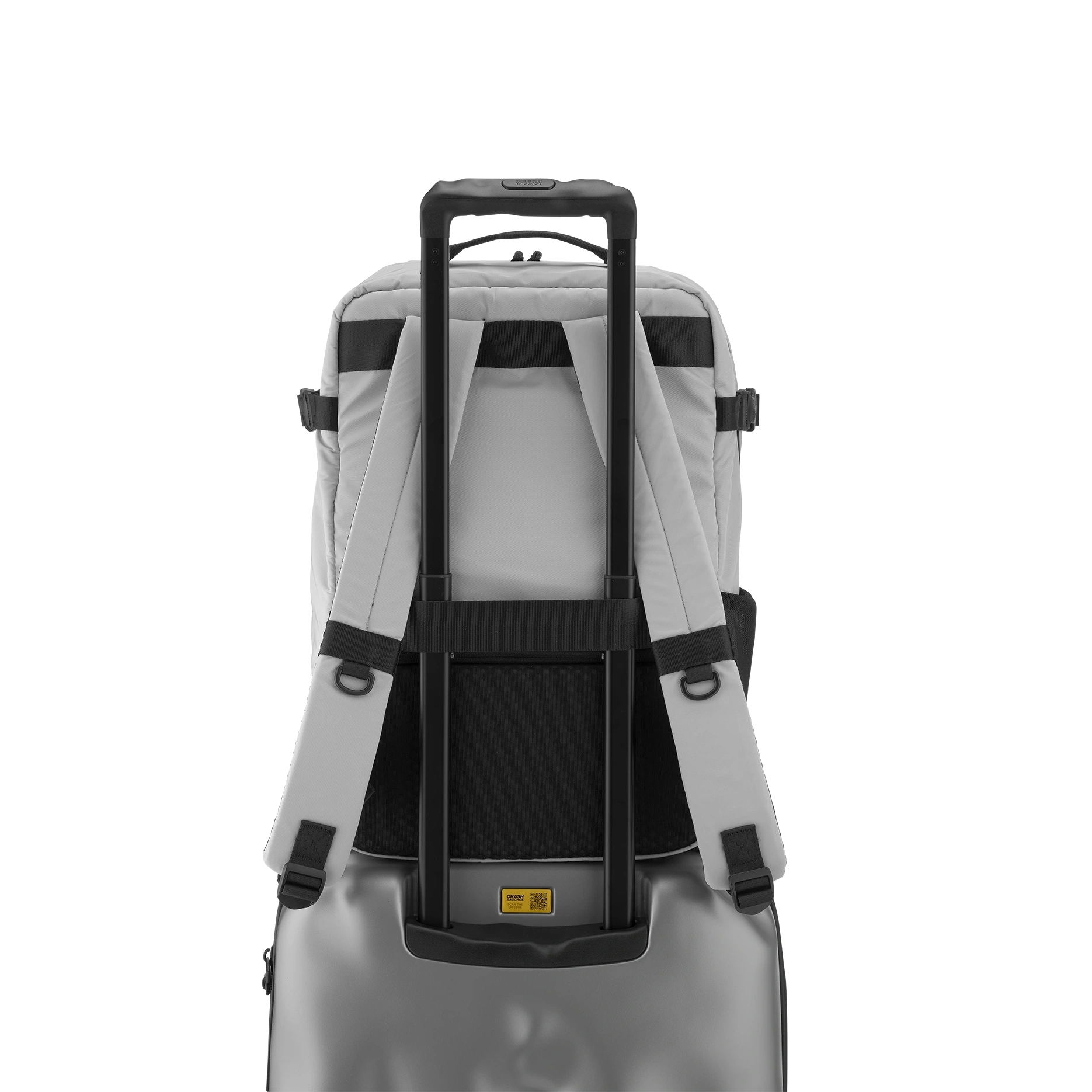 Iconic Backpack 29L - Silver