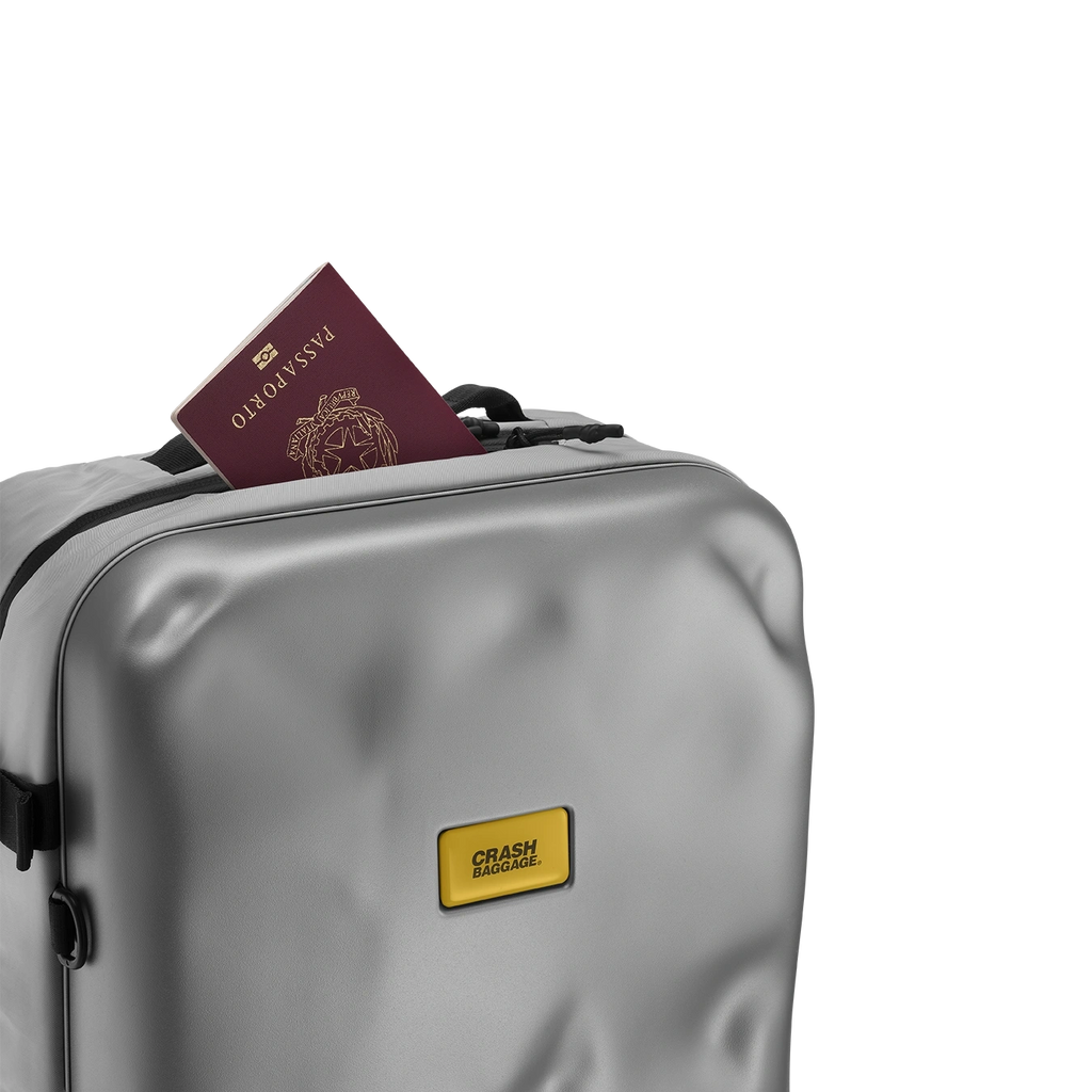 Iconic Backpack 29L - Silver